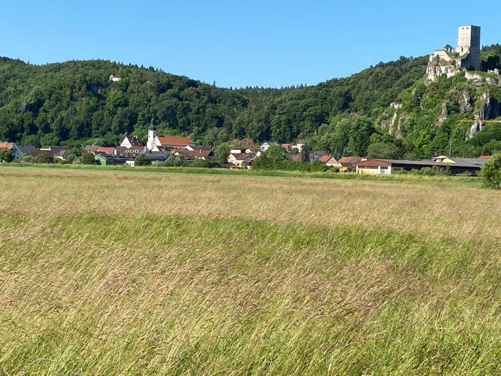 Ferienwohnung Im Wunderschoenen Altmuehltal Wellheim المظهر الخارجي الصورة